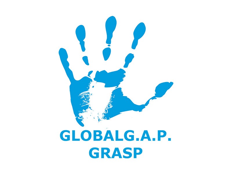 Global GAP GRASP