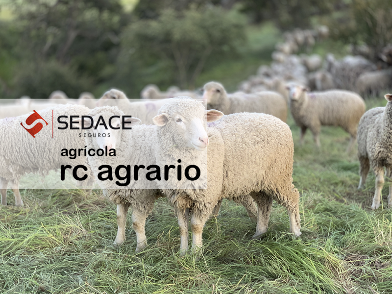 Seguros Agrícola / RC Agrario
